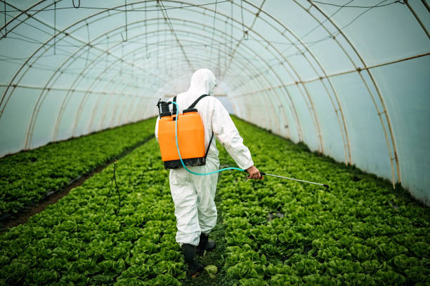 Best Affordable Pest Control Services  in Kapn, LA