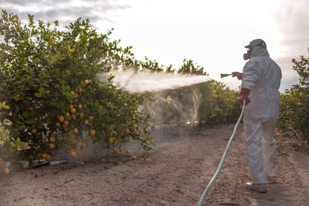 Best Cockroach Control Services  in Kapn, LA