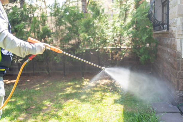 Best Local Pest Control Services  in Kapn, LA