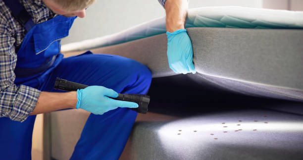 Best Cockroach Control Services  in Kapn, LA