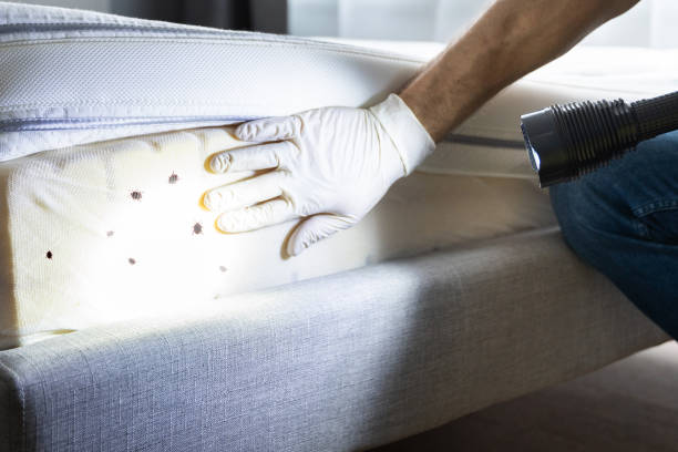 Best Pest Control Cost  in Kapn, LA