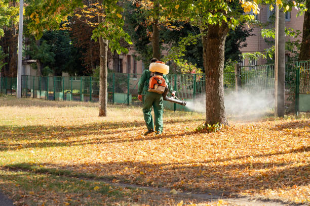 Best Best Pest Control Companies  in Kapn, LA