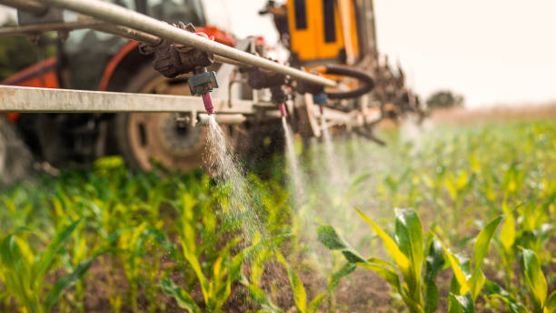 Best Wildlife Control Services  in Kapn, LA